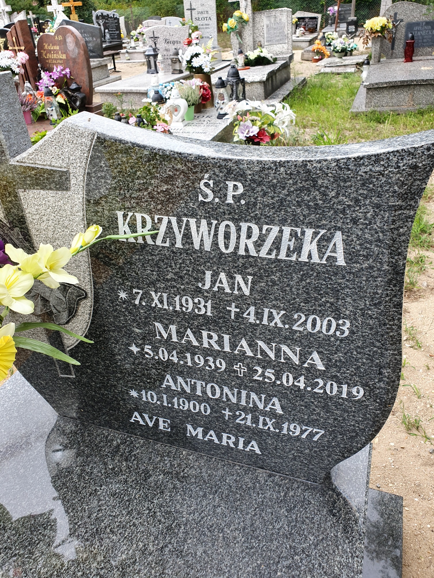 Zdjęcie grobu