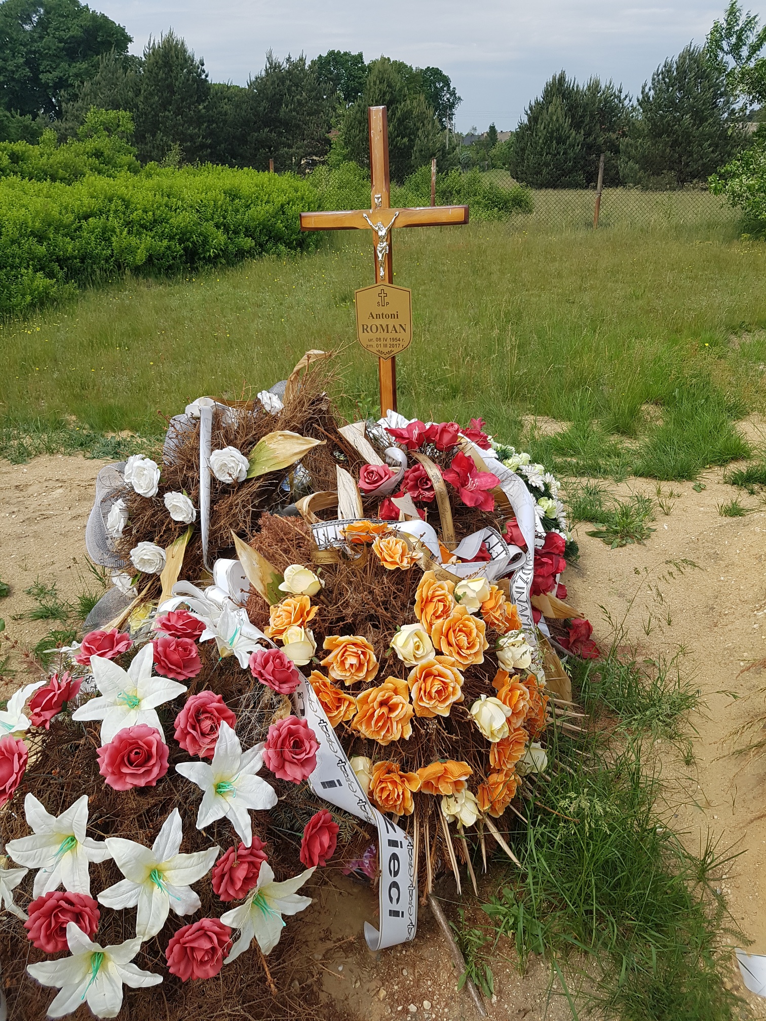 Ewa Roman 1954 Węgliniec - Grobonet - Wyszukiwarka osób pochowanych