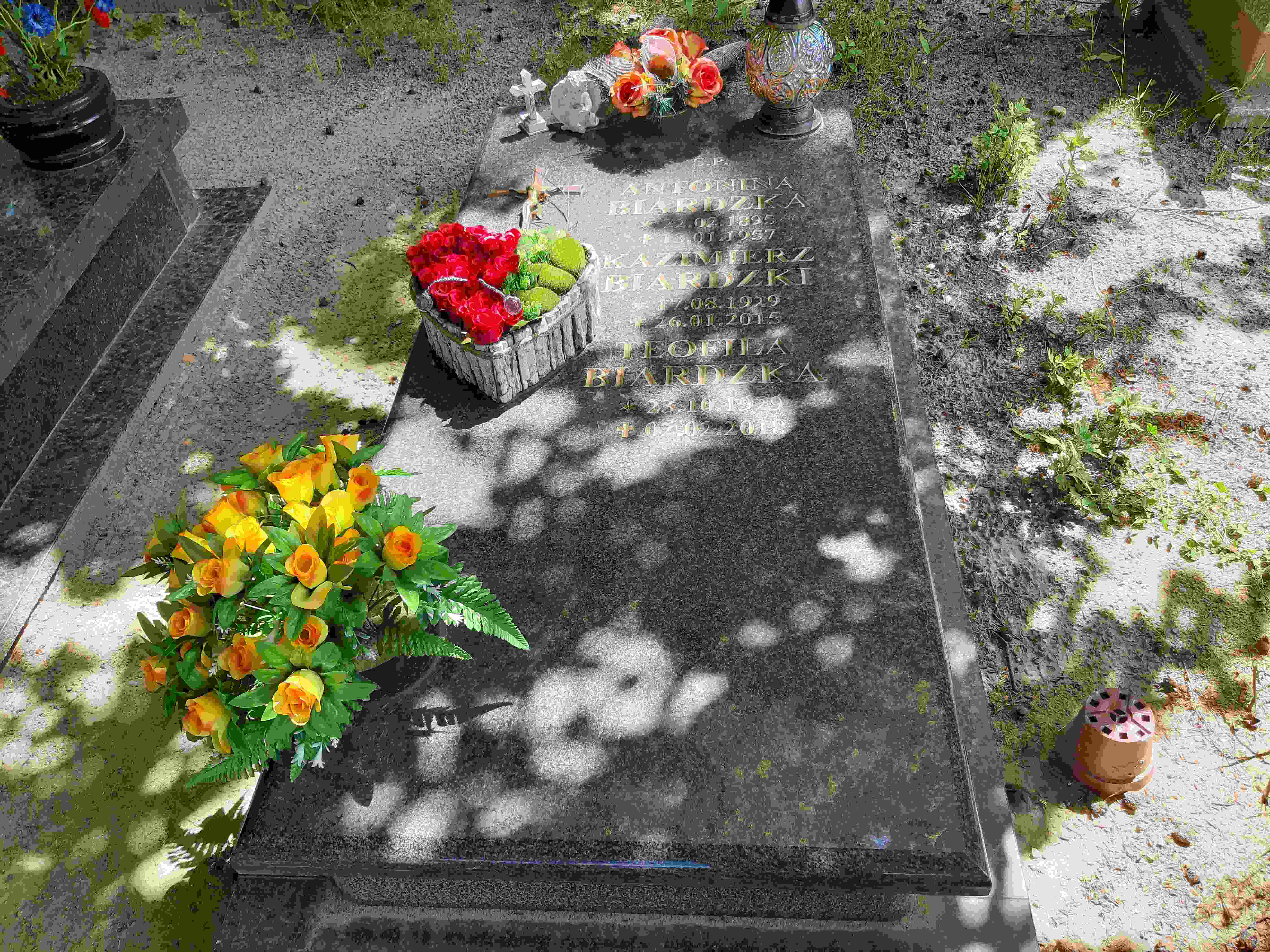 Grób Teofila Biardzka 